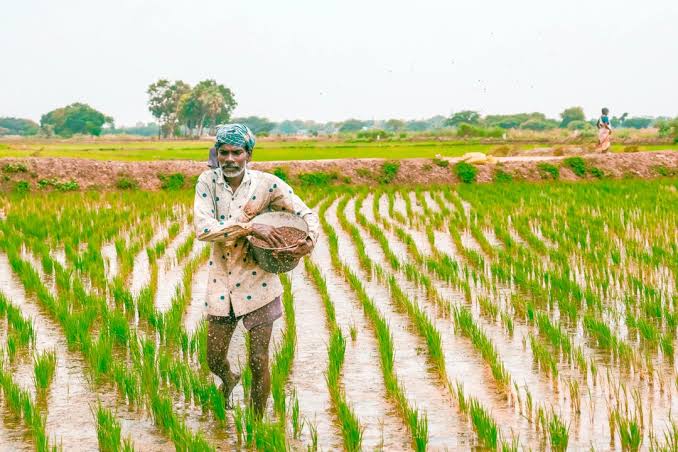Agriculture & Rural Entrepreneurship